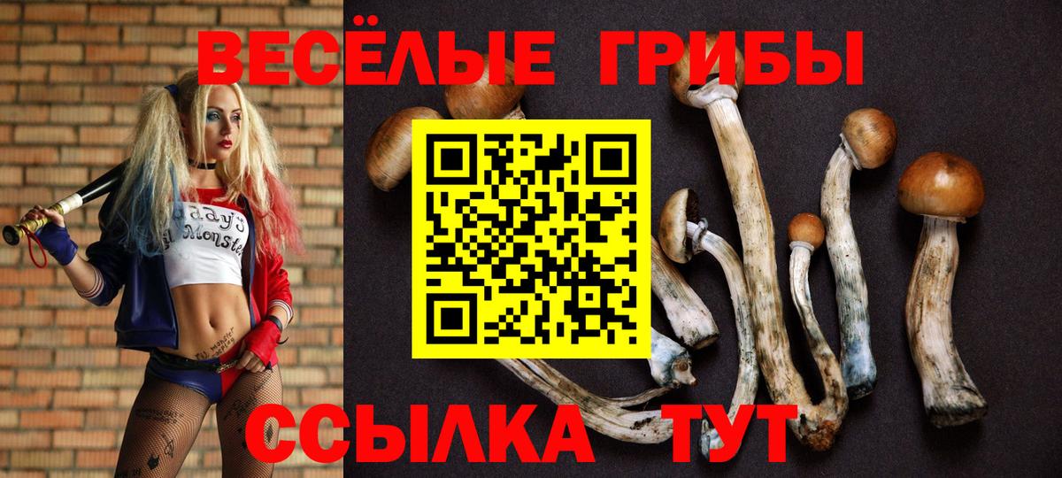 Галлюциногенные грибы мухоморы  Вход с VPN  наркошоп  Чистополь 